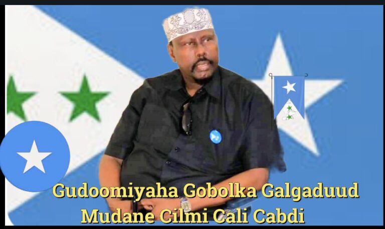 War-saxaafadeed Mahadcelin, Aqoonsi & Abaalmarin